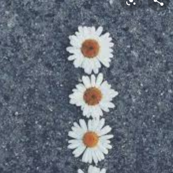 Meet your Posher, Bianca - Picture 1 of 1